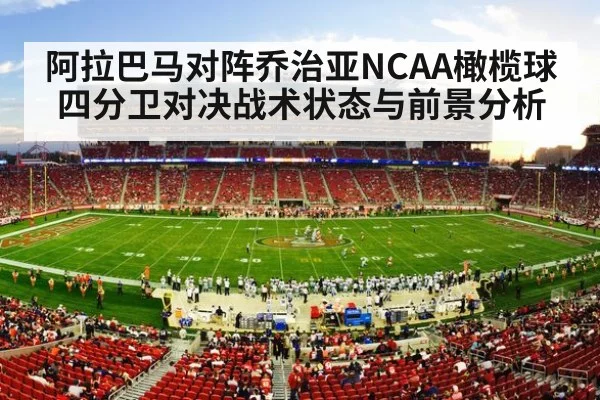 american football stadium game crowd